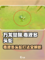 万龙觉醒🔥毒液多头蛇打法攻略⚡超详细技巧分享！