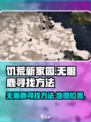 饥荒新家园：快速找到无眼鹿的方法✨