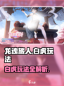 龙魂旅人白虎玩法有哪些介绍