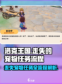 洛克王国手游走失的宠物怎么做介绍