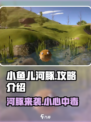 小鱼儿河豚🔥必胜攻略来了！新手必看💎