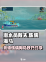 潜水员戴夫竞速侏儒海马是什么介绍