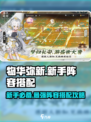 物华弥新新手阵容推荐介绍