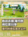 心动小镇💥海钓黄金时间📍revealed！渔获满满的秘密时辰