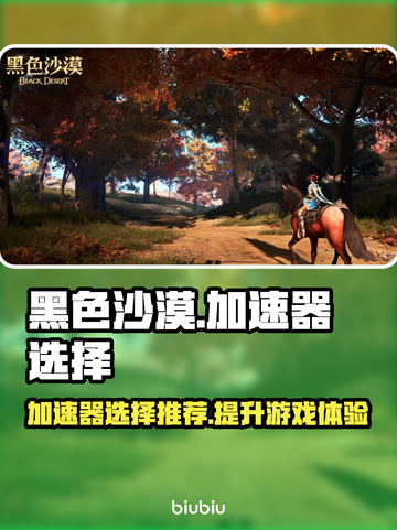 黑色沙漠 Gamer必备🔥加速器推荐！截图1