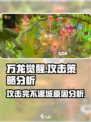 万龙觉醒攻击完不返城什么原因介绍