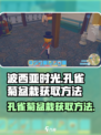 波西亚时光孔雀菊盆栽怎样获得介绍