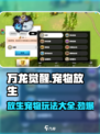 万龙觉醒如何放生宠物介绍