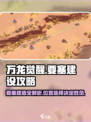 万龙觉醒🔥要塞建造选址全攻略！💡
