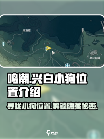 鸣潮🔥兴白小狗位置大揭秘！快来看看在哪里～🐾截图1