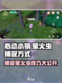 心动小镇🔥抓萤火虫超全攻略✨