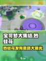 宝可梦大集结：妙蛙花发育思路全解析！💥