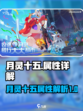 望月十五怎么样介绍