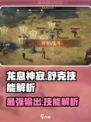 龙息神寂舒克技能大揭秘💥游戏党必看！