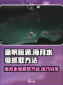 海月水母渔帆暗涌如何抓介绍