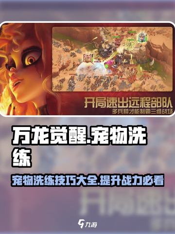 万龙觉醒宠物洗练攻略介绍截图1