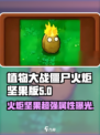 植物大战僵尸：火炬坚果🔥超神属性解析！坚果 :";
