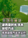 《波西亚时光》手游🔥铁木获取方法大揭秘！