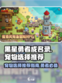 黑星勇者成名录：宠物选择大揭秘💥🔥