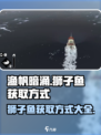 渔帆暗涌狮子鱼怎么获得介绍