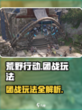 荒野起源团战怎么玩介绍