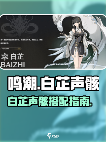 《鸣潮》白芷声骸选它！💥🎯截图1