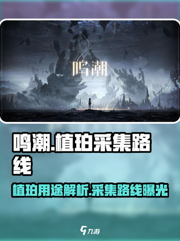 鸣潮⚡植珀采集路线曝光！玩游戏必备秘籍🔥截图1