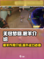 无尽梦回眠羊有什么用介绍