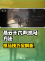 燕云十六声马怎么抓介绍