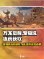 万龙觉醒宠物洗练药怎么弄介绍