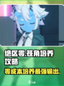 绝区零🔥苍角培养攻略，快速养成秘籍！