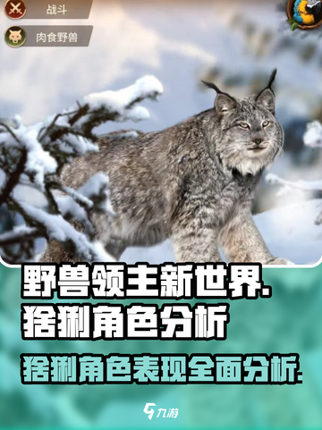 野兽领主新世界猞猁🔥超强角色表现分析来啦！截图1