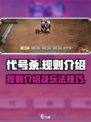 代号杀规则介绍介绍