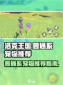 洛克王国手游普通系宠物推荐介绍