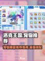 洛克王国手游抓什么宠物好介绍