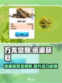万龙觉醒💥资源获取大揭秘！玩家必看🔥