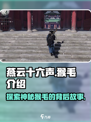 燕云十六声猴毛是什么介绍截图1