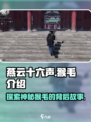 燕云十六声猴毛是什么介绍