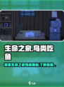 我的孩子生命之泉鸟类问题介绍