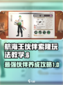代号伙伴索隆怎么玩介绍