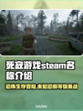 死寂游戏英文名大曝光，Steam玩家必看！🎮🔥