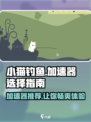 小猫钓鱼🔥加速器选对了，游戏体验直接起飞！🎮