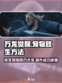 万龙觉醒如何放生宠物介绍