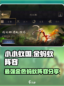 小小蚁国金蚂蚁组合推荐介绍