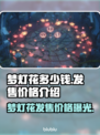 梦灯花多少钱？发售价格曝光！💥🔥