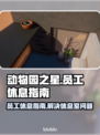 动物园之星员工休息室⚡找不到看这里！🎮