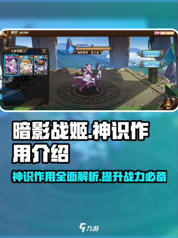 暗影战姬神识有什么用介绍截图1