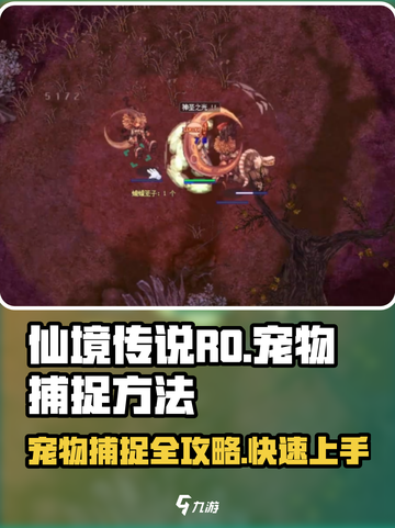 仙境传说RO新启航宠物怎么捕捉介绍截图1