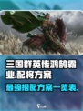三国群英传鸿鹄霸业配将方案有哪些介绍