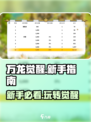 万龙觉醒🔥新手必看！快速上手指南🎉